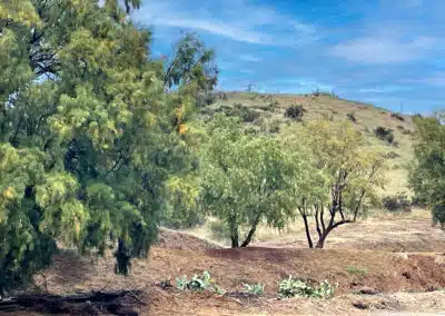 Sierra Pelona Motel - Outside 22