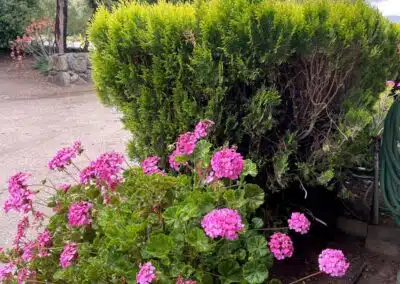 Sierra Pelona Motel - Outside 5