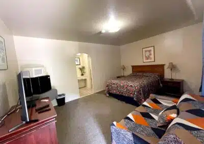 Sierra Pelona Motel - Queen Bed 9